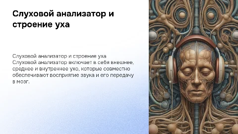 Слуховой анализатор. Строение уха. Проводящий путь