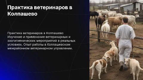 Производственная практика 1 курс ВП-119: ветеринарные мероприятия
