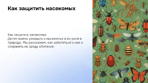 правила для сохранения насекомых для детей 3х лет