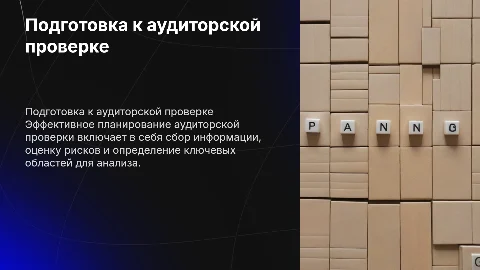 Подготовка и планирование аудиторской проверки