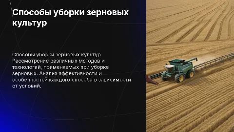 Способы уборки зерновых культур: технологии и методы