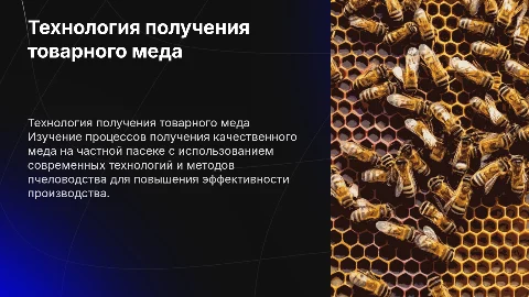 Технология получения товарного меда на частной пасеке