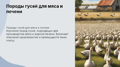 Породы гусей, используемые для производства мяса и жирной печени