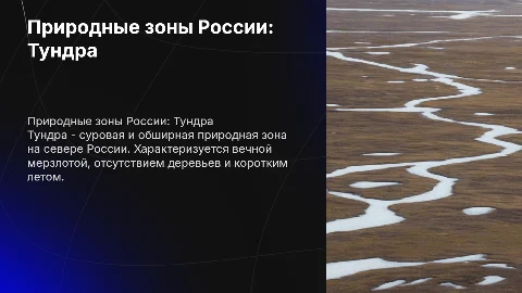 Природные зоны России - Тундра