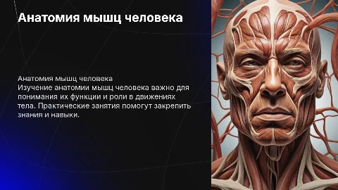 Анатомия мышц человека для практических занятий