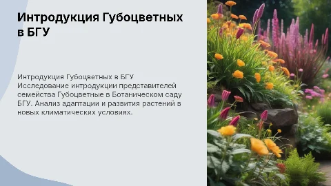Интродукция Губоцветных в Ботаническом саду БГУ