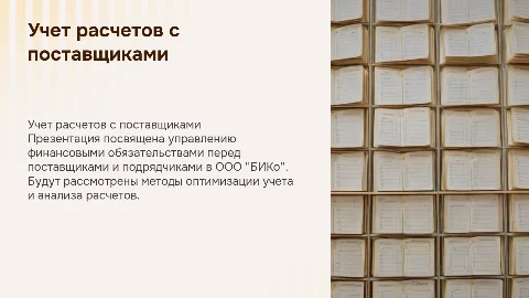 Учет расчетов с поставщиками и подрядчиками на ООО "БИКо"