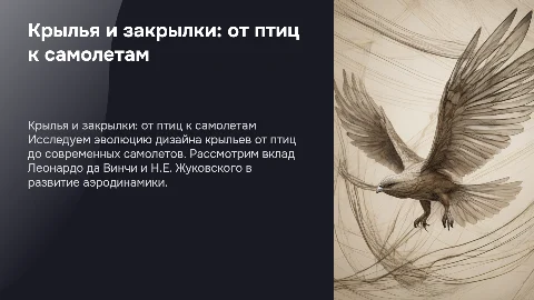 Крылья и закрылки: от птиц к самолетам