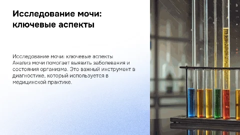 исследования мочи