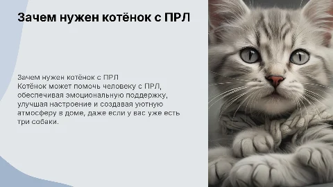 Почему котёнок важен для человека с ПРЛ и собаками