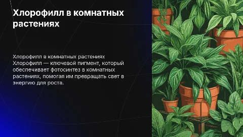 Хлорофилл в комнатных растениях: роль и уход