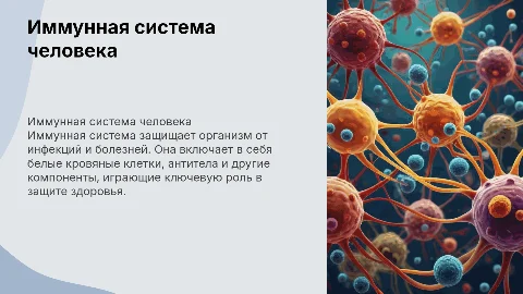 Иммунная система и способы ее работы в организме человека