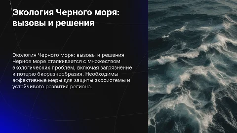 Черное море, экологические проблемы и пути их решения