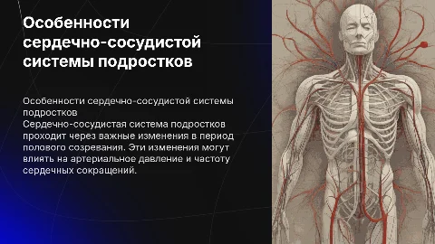 Особенности сердечно-сосудистой системы подростков