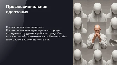 Профессиональная адаптация