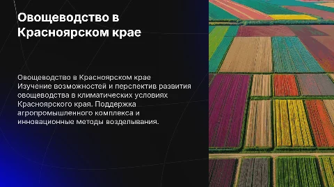 Овощеводство в крассноярском крае