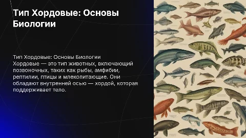 Тип Хордовые: Биология и Представители для 7 Класса