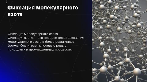 фиксация молекулярного азота