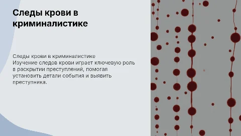 Следы крови в криминалистике, их значение в раскрытии преступлений