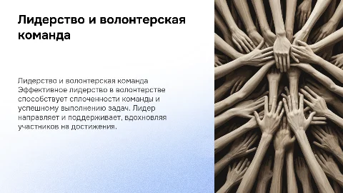 Лидер и его команда в волонтерстве