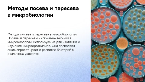 Способы посевов и способы пересевов в микробиологии