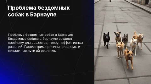 Проблема бездомных собак города Барнаул и её решение