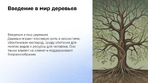 Дерево