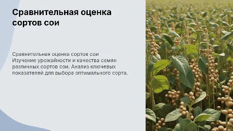 Сравнительная оценка сортов сои по урожайности и качеству семян