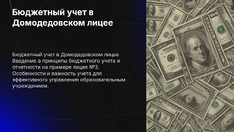Бюджетный учет и отчетность в Домодедовском лицее №3