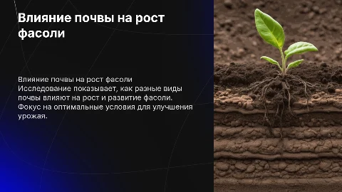Влияние почвы на рост и развитие фасоли: исследование