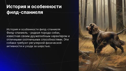 Филд-спаниель