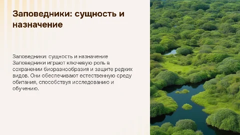 Заповедники: сущность и предназначение