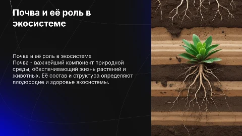 Почва, состав и значение о живой природе