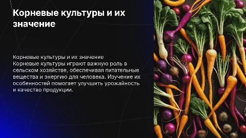корневые культуры