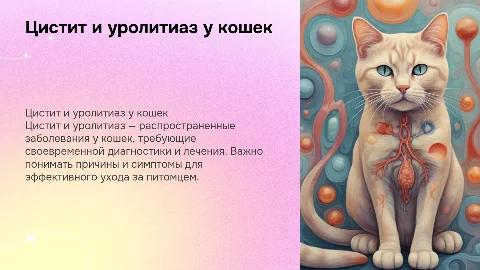 Цистит и уролитиаз у кошек