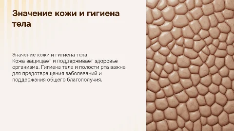 Значение кожного покрова для человека и гигиена тела