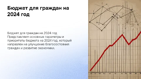 Бюджет для граждан за 2024