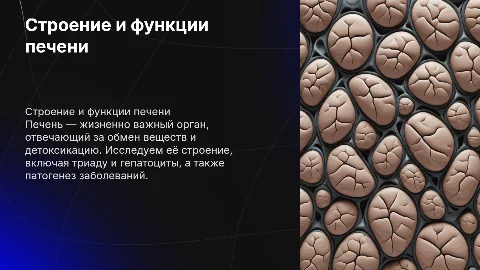 Строение и функции печени: презентация для студентов