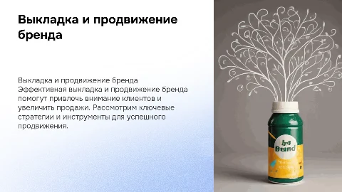 Рекомендации по выкладке и продвижению бренда