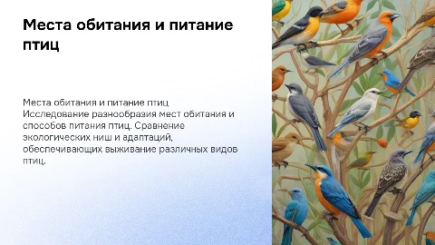Где обитают птицы и чем они питаются: презентация