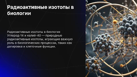 Радиоактивность в живых организмах: углерод-14 и калий-40