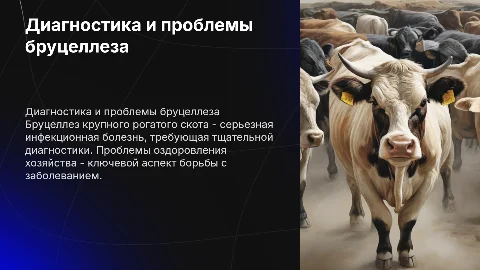 Бруцеллез крупного рогатого скота: диагностика и оздоровление