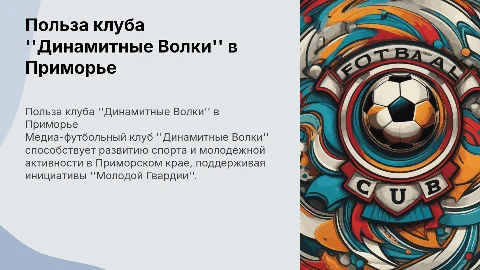 Польза медиа-футбольного клуба "Динамитные Волки" в Приморье