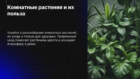 Комнатные растения: уход и полезные свойства