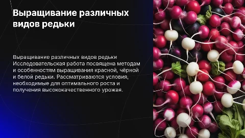 Исследовательская работа по выращиванию редьки