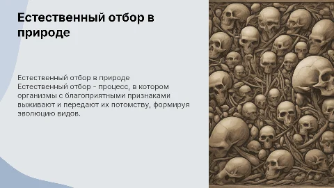 Естественный отбор