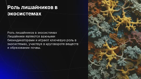 Роль лишайников в природе
