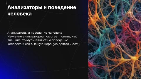 Анализаторы и высшая нервная деятельность человека