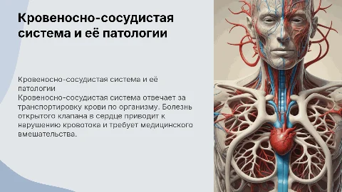 Кровеносно-сосудистая система: открытый клапан в сердце