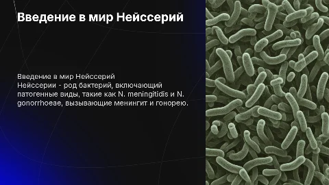 Нейссерии